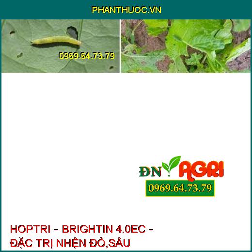 HOPTRI – BRIGHTIN 4.0EC – ĐẶC TRỊ NHỆN ĐỎ,SÂU