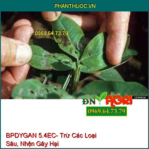 BPDYGAN 5.4EC- Trừ Các Loại Sâu, Nhện Gây Hại