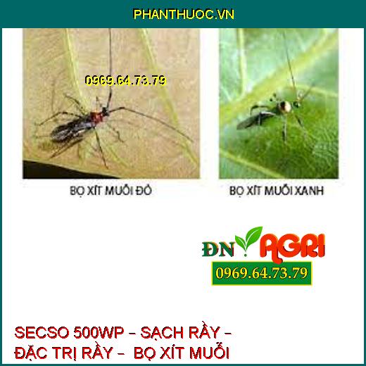 SECSO 500WP – SẠCH RẦY – ĐẶC TRỊ RẦY –  BỌ XÍT MUỖI