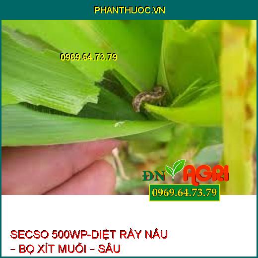 SECSO 500WP-DIỆT RẦY NÂU – BỌ XÍT MUỖI – SÂU KHOANG