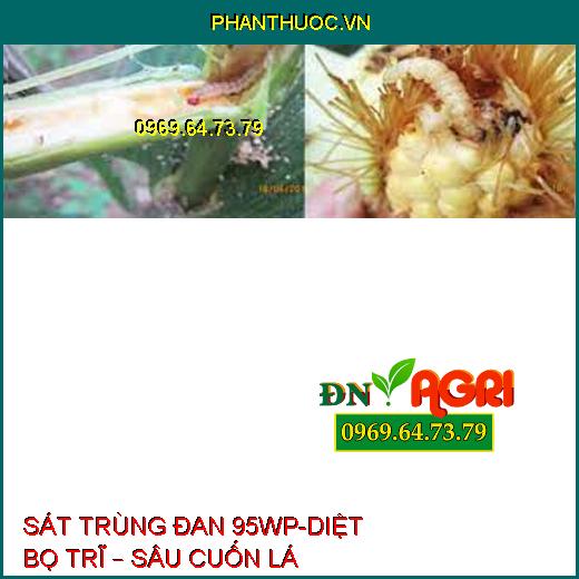 SÁT TRÙNG ĐAN 95WP-DIỆT BỌ TRĨ – SÂU CUỐN LÁ