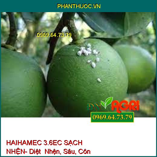 HAIHAMEC 3.6EC SẠCH NHỆN- Diệt Nhện, Sâu, Côn Trùng