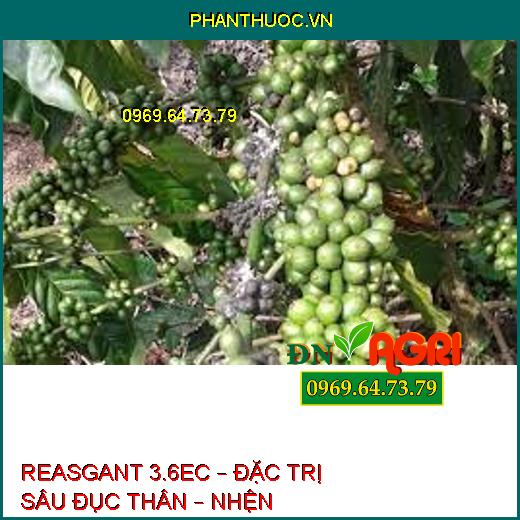 REASGANT 3.6EC – ĐẶC TRỊ SÂU ĐỤC THÂN – NHỆN