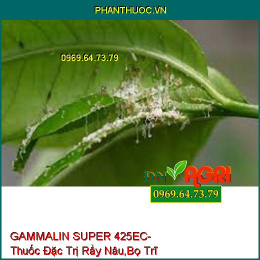 GAMMALIN SUPER 425EC- Thuốc Đặc Trị Rầy Nâu,Bọ Trĩ