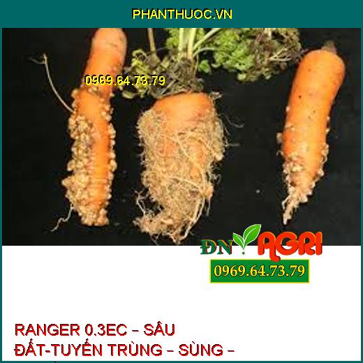 RANGER 0.3EC – SÂU ĐẤT-TUYẾN TRÙNG – SÙNG – BỌ HÀ