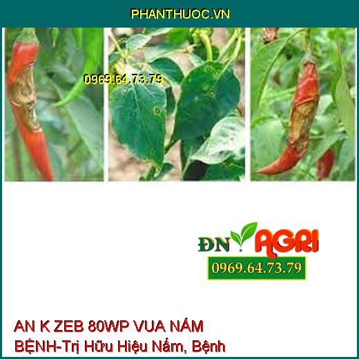 AN K ZEB 80WP VUA NẤM BỆNH-Trị Hữu Hiệu Nấm, Bệnh Hại