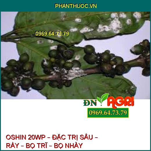 OSHIN 20WP – ĐẶC TRỊ SÂU – RẦY – BỌ TRĨ – BỌ NHẢY