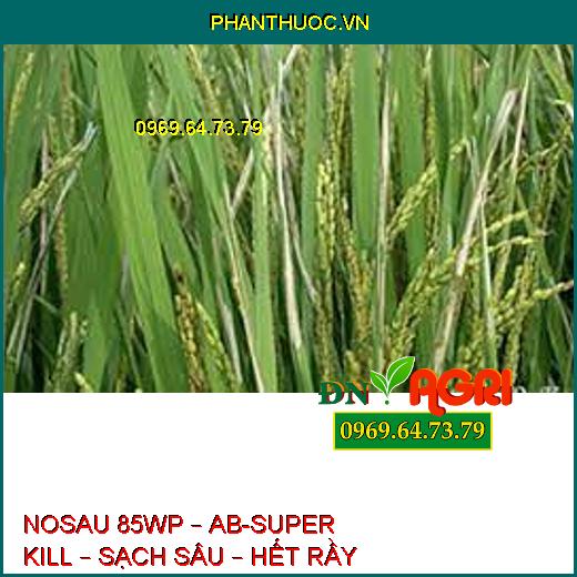 NOSAU 85WP – AB-SUPER KILL – SẠCH SÂU – HẾT RẦY