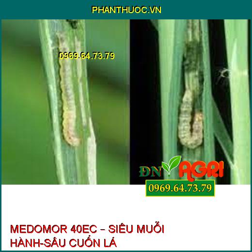 MEDOMOR 40EC – SIÊU MUỖI HÀNH-SÂU CUỐN LÁ