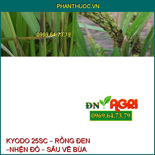 KYODO 25SC – RỒNG ĐEN –NHỆN ĐỎ – SÂU VẼ BÙA