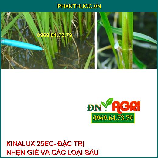 KINALUX 25EC- ĐẶC TRỊ NHỆN GIÉ VÀ CÁC LOẠI SÂU