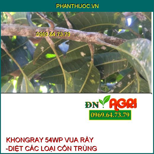 KHONGRAY 54WP VUA RẦY -DIỆT CÁC LOẠI CÔN TRÙNG