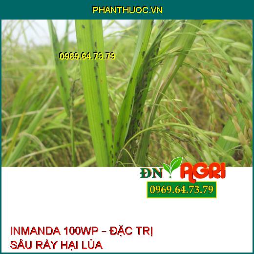 INMANDA 100WP – ĐẶC TRỊ SÂU RẦY HẠI LÚA