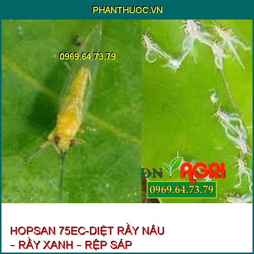 HOPSAN 75EC-DIỆT RẦY NÂU – RẦY XANH – RỆP SÁP