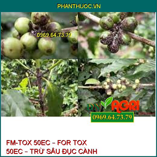 FM-TOX 50EC – FOR TOX 50EC – TRỪ SÂU ĐỤC CÀNH