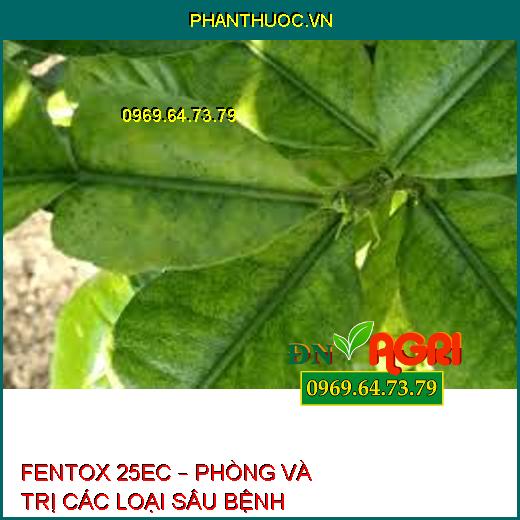 FENTOX 25EC – PHÒNG VÀ TRỊ CÁC LOẠI SÂU BỆNH