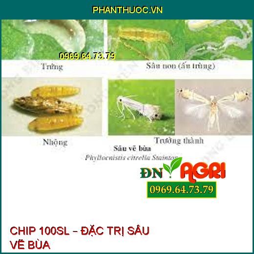 CHIP 100SL – ĐẶC TRỊ SÂU VẼ BÙA