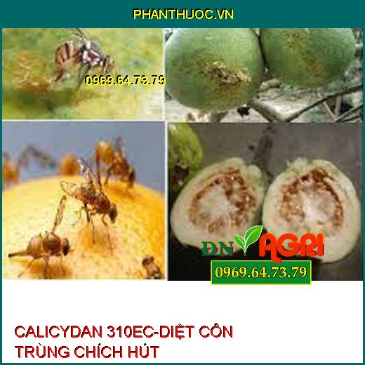 CALICYDAN 310EC-DIỆT CÔN TRÙNG CHÍCH HÚT