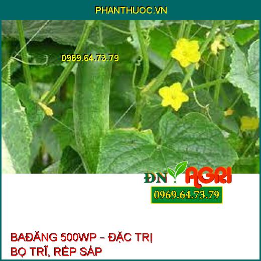 BAĐĂNG 500WP – ĐẶC TRỊ BỌ TRĨ, RẾP SÁP