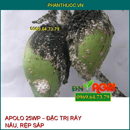 APOLO 25WP – ĐẶC TRỊ RẦY NÂU, RỆP SÁP