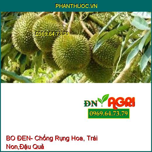 BO ĐEN- Chống Rụng Hoa, Trái Non,Đậu Quả