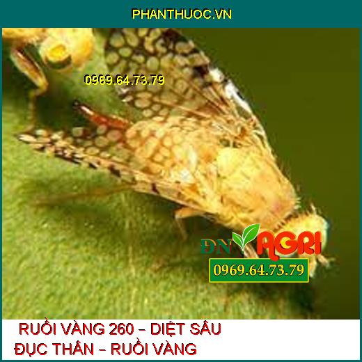  RUỒI VÀNG 260 – DIỆT SÂU ĐỤC THÂN – RUỒI VÀNG