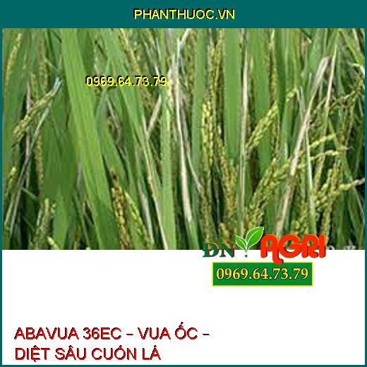 ABAVUA 36EC – VUA ỐC – DIỆT SÂU CUỐN LÁ