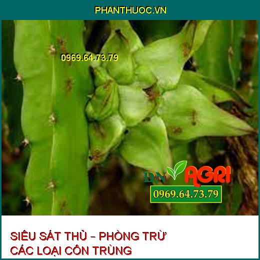 SIÊU SÁT THỦ – PHÒNG TRỪ CÁC LOẠI CÔN TRÙNG