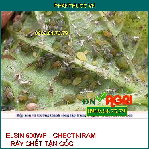 ELSIN 600WP – CHECTNIRAM – RẦY CHẾT TẬN GỐC