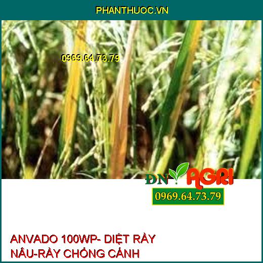 ANVADO 100WP- DIỆT RẦY NÂU-RẦY CHỔNG CÁNH