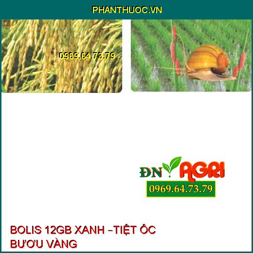 BOLIS 12GB XANH –TIỆT ÔC BƯƠU VÀNG