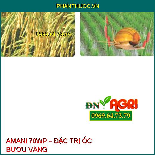 AMANI 70WP – ĐẶC TRỊ ỐC BƯƠU VÀNG