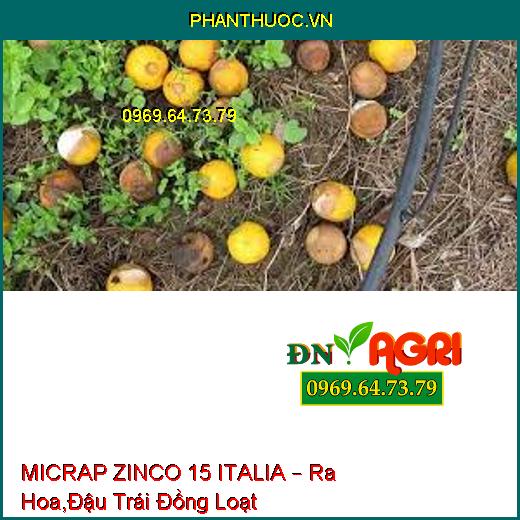 MICRAP ZINCO 15 ITALIA – Ra Hoa,Đậu Trái Đồng Loạt