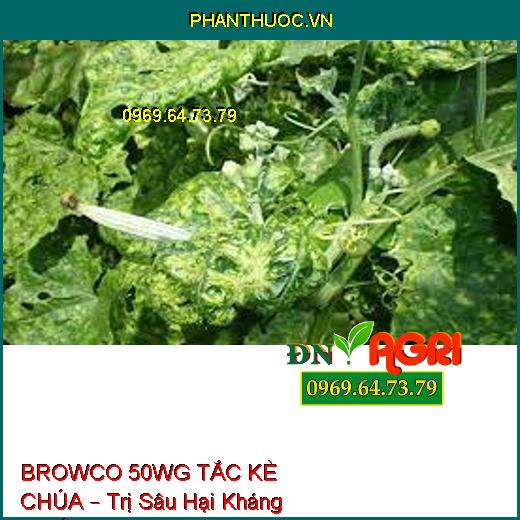 BROWCO 50WG TẮC KÈ CHÚA – Trị Sâu Hại Kháng Thuốc