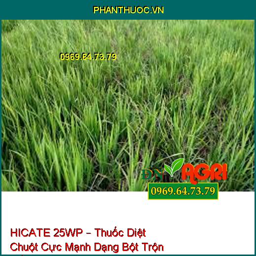 HICATE 25WP – Thuốc Diệt Chuột Cực Mạnh Dạng Bột Trộn Mồi