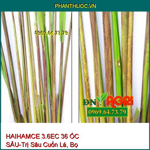 HAIHAMCE 3.6EC 36 ỐC SÂU-Trị Sâu Cuốn Lá, Bọ Trĩ,Nhện Gié