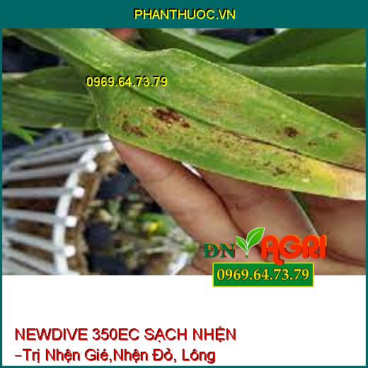 NEWDIVE 350EC SẠCH NHỆN –Trị Nhện Gié,Nhện Đỏ, Nhện Lông