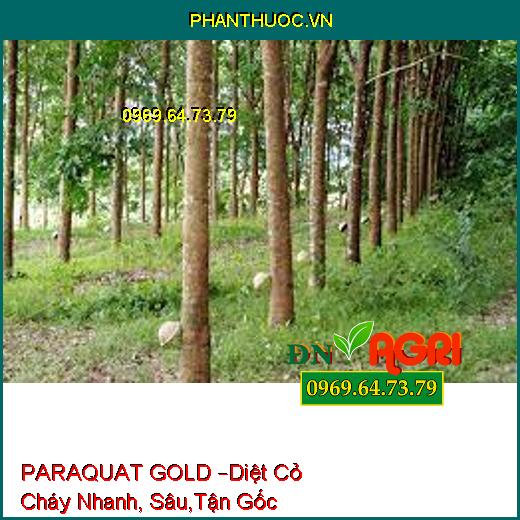 PARAQUAT GOLD –Diệt Cỏ Cháy Nhanh, Sâu,Tận Gốc