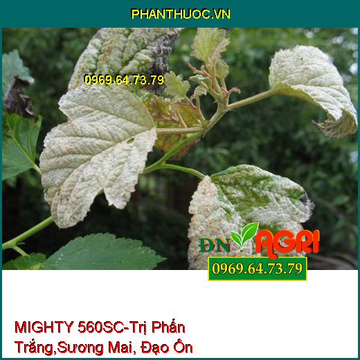 MIGHTY 560SC-Trị Phấn Trắng,Sương Mai, Đạo Ôn