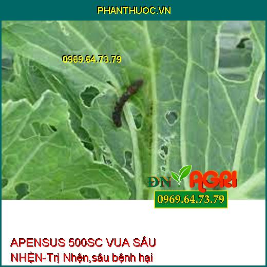 APENSUS 500SC VUA SÂU NHỆN-Trị Nhện,sâu bệnh hại