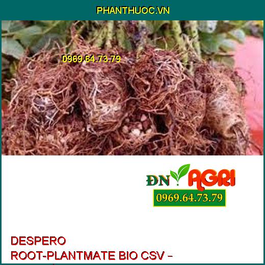 DESPERO ROOT-PLANTMATE BIO CSV – Đâm Chồi,Nuôi Quả