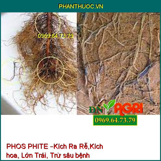 PHOS PHITE –Kích Ra Rễ,Kích hoa, Lớn Trái, Trừ sâu bệnh