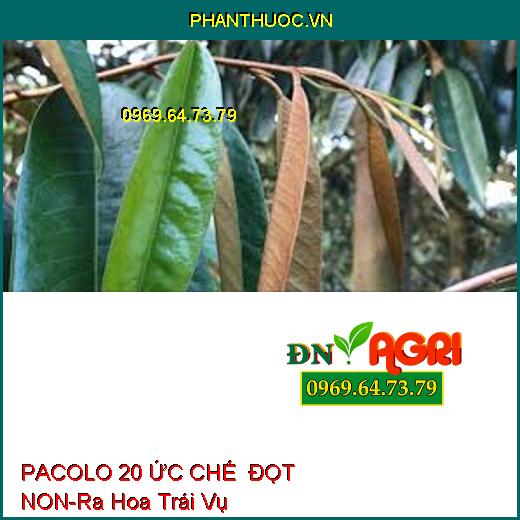 PACOLO 20 ỨC CHẾ ĐỌT NON-Ra Hoa Trái Vụ