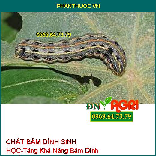 CHẤT BÁM DÍNH SINH HỌC-Tăng Khả Năng Bám Dính Thuốc