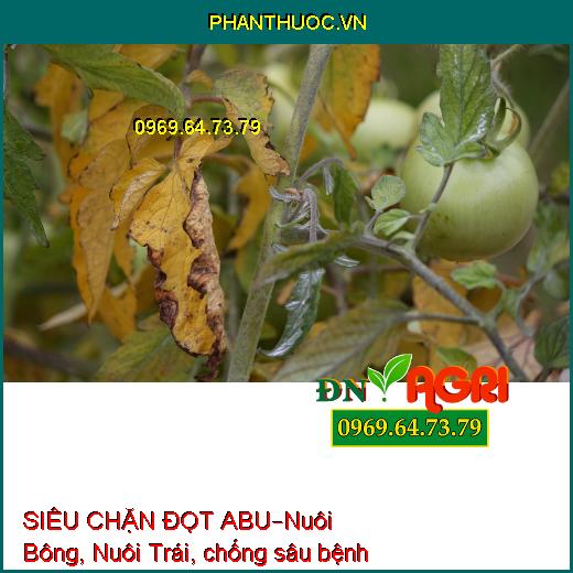 SIÊU CHẶN ĐỌT ABU–Nuôi Bông, Nuôi Trái, chống sâu bệnh