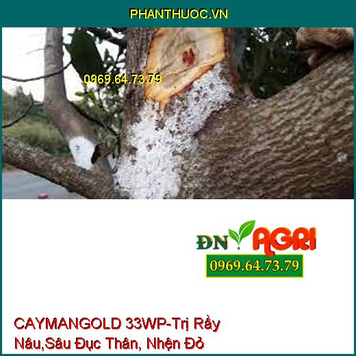 CAYMANGOLD 33WP-Trị Rầy Nâu,Sâu Đục Thân, Nhện Đỏ