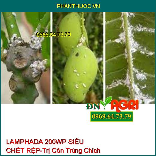 LAMPHADA 200WP SIÊU CHẾT RỆP-Trị Côn Trùng Chích Hút