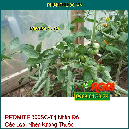 REDMITE 300SC-Trị Nhện Đỏ Các Loại Nhện Kháng Thuốc