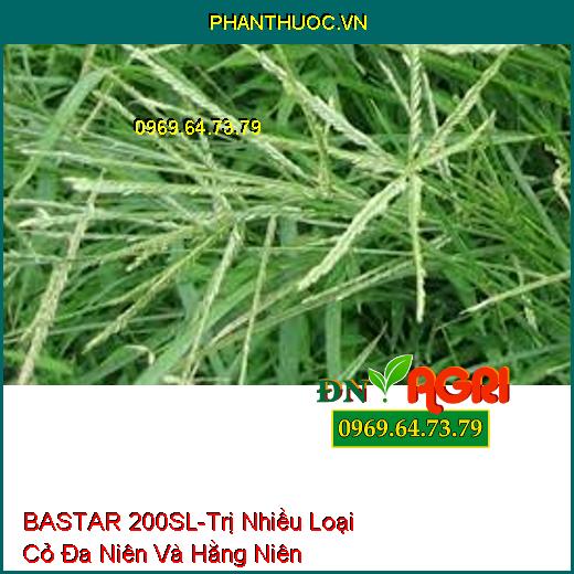 BASTAR 200SL-Trị Nhiều Loại Cỏ Đa Niên Và Hằng Niên