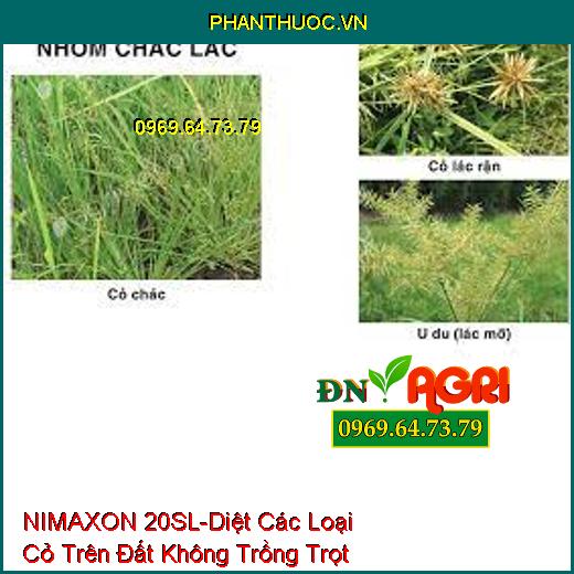 NIMAXON 20SL-Diệt Các Loại Cỏ Trên Đất Không Trồng Trọt